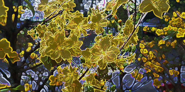 Whatever comes – it’s good enough to be entertained by